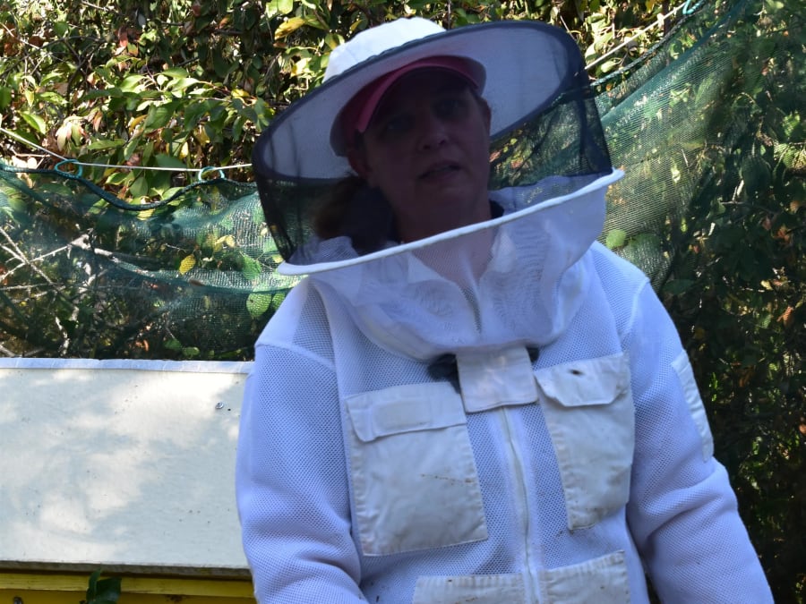 Stage Apiculture d'une journée : Immersion au Rucher à Daux (31)