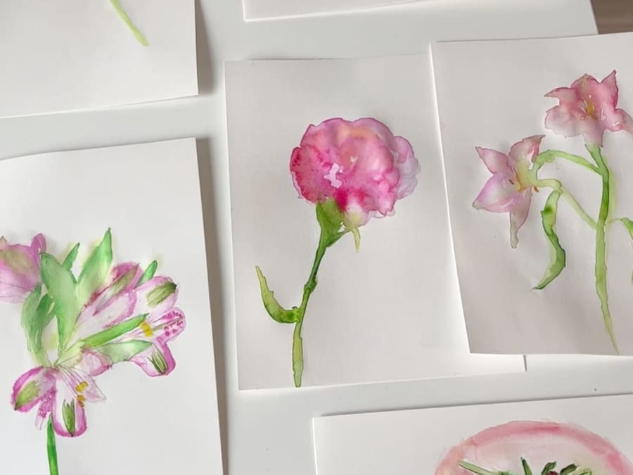 Atelier peinture aquarelle botanique et apéro à Dijon (31)