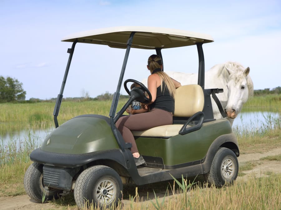 Découverte d'une réserve naturelle en voiture électrique à Sylveréal (30)