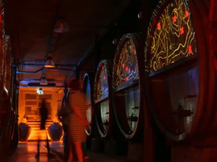 Visite, dégustation & pique-nique au domaine Zeyssolff (67)