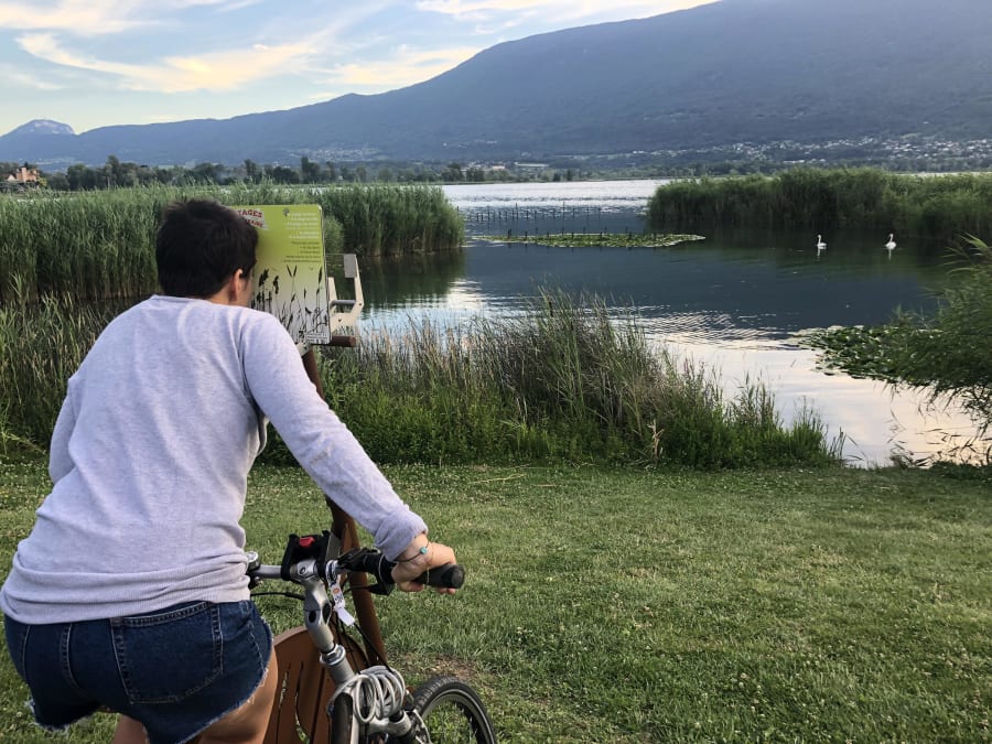 Location De Vtt Électrique Sur Le Lac Du Bourget (73)