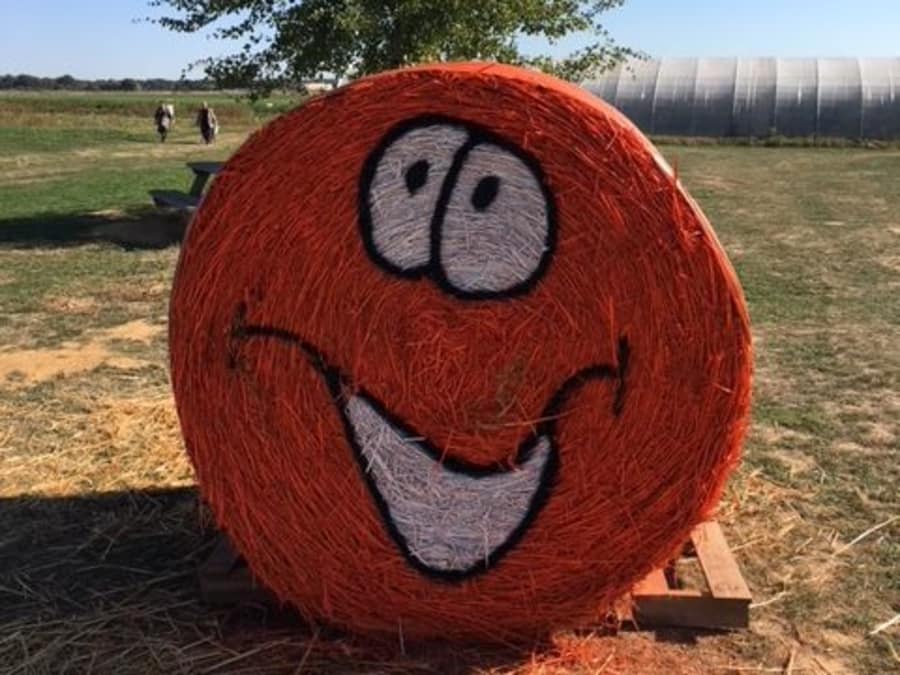 Atelier citrouille Halloween à la Cueillette de Torfou (91)
