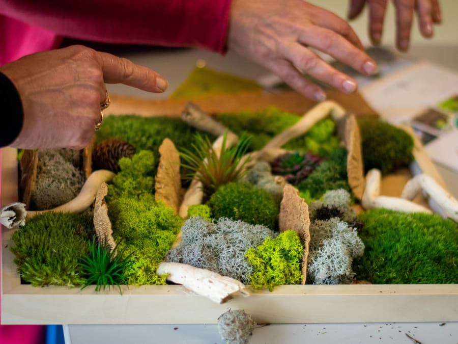 Team Building Végétal au Campus de la Mouillère à Orléans (45)