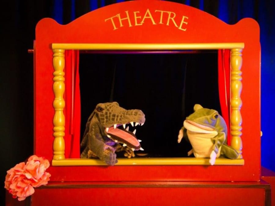 Anniversaire Spectacle de 28 ans à domicile (37) Funbooker