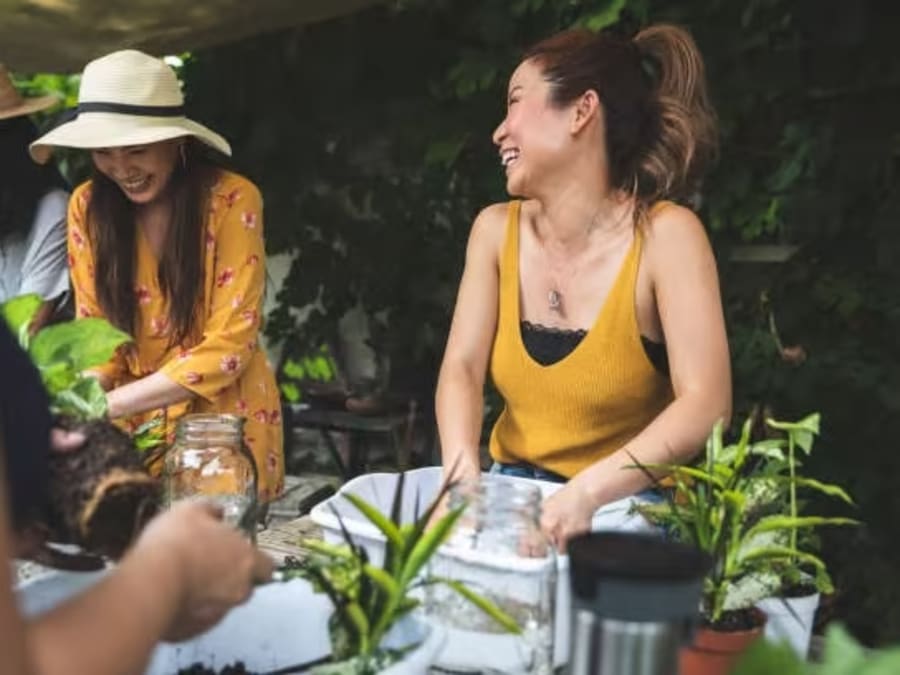 Atelier terrarium à Tours (37) 