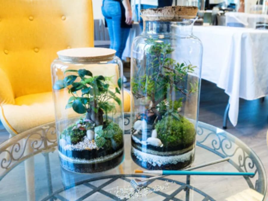 Team Building Atelier Terrarium à Saint-Sorlin-en-Valloire (26)