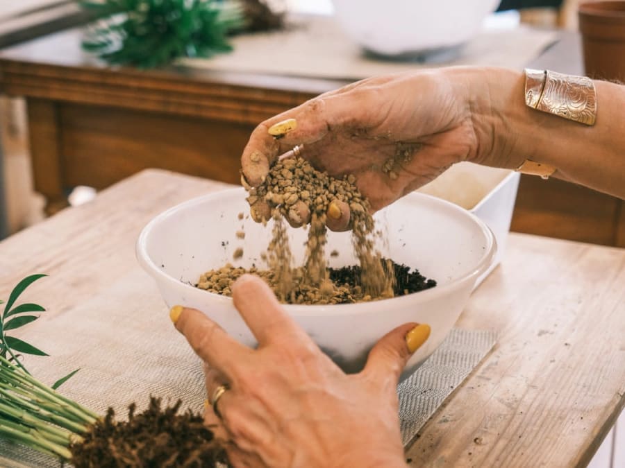 Team Building atelier kokedama à Grenoble (38)