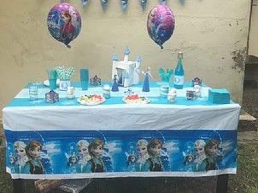 Anniversaire Reine Des Neiges 3 9 Ans A Domicile 33 24 Funbooker