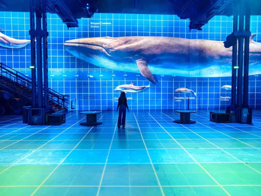 Ticket to the Atelier des Lumières in Paris: "Planète Océan" exhibition