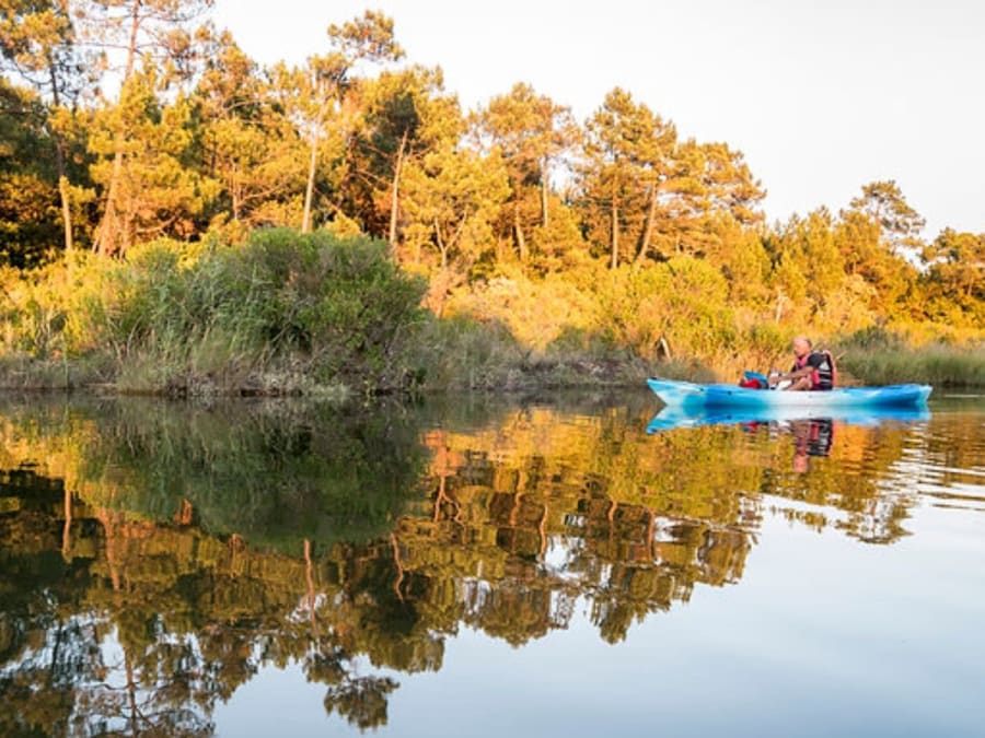 Escursione botanica in kayak nei Prés Salés del Bacino di Arcachon
