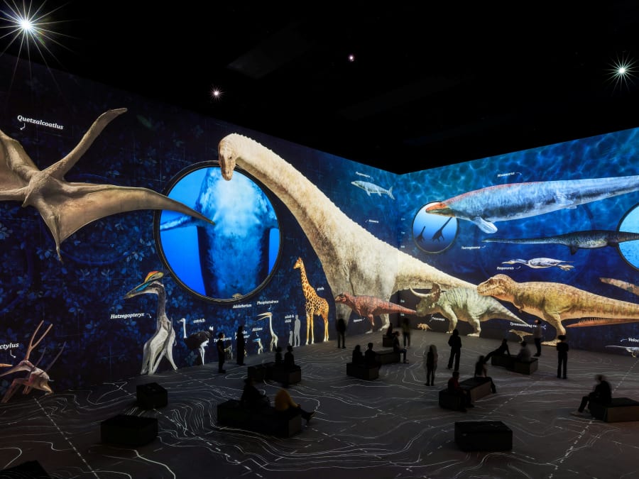 Ticket for the Atelier des Lumières in Paris: Prehistoric
