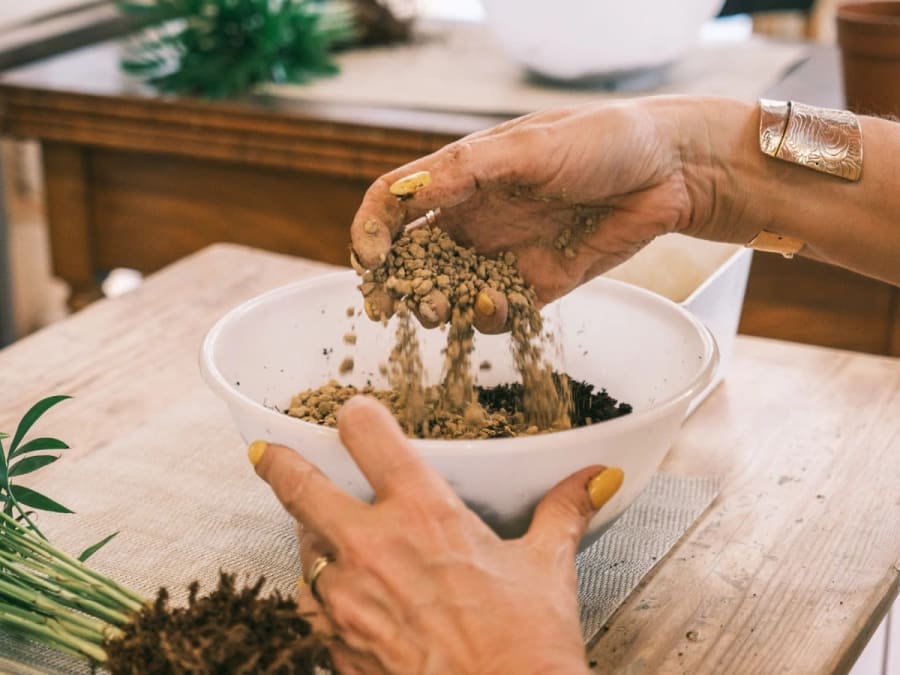 Kokedama workshop in Grenoble (38)