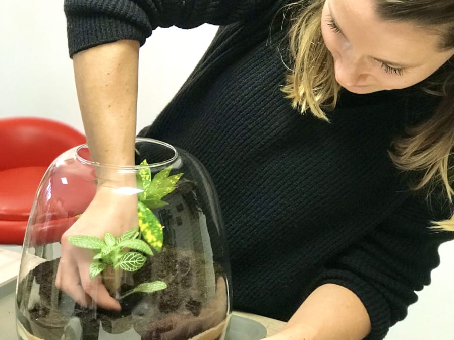 Atelier terrarium à Caluire-et-Cuire (69)