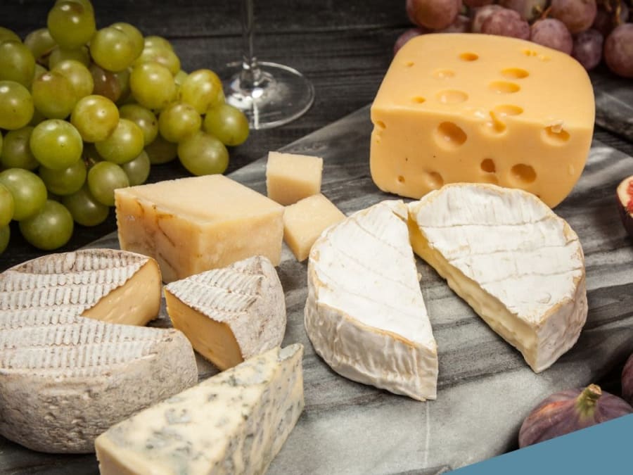 Wine day at Château Capet-Guillier in Saint-Émilion