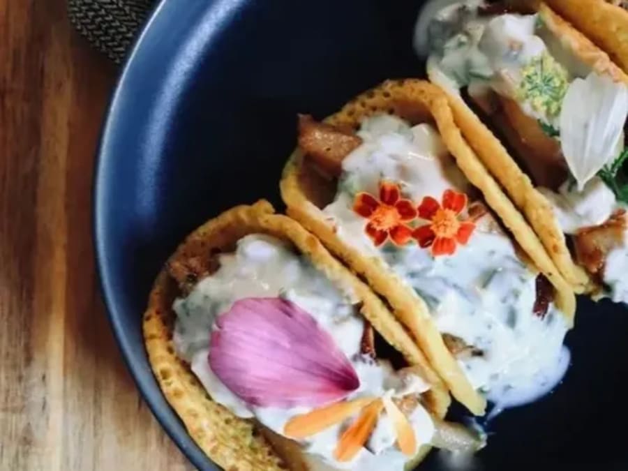 Plant protein discovery workshop in Toulouse (31)