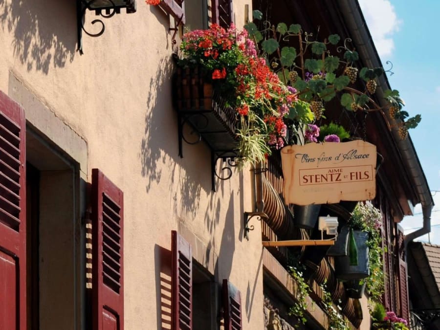 Dégustation de  Vins & Planches Apéro à Wettolsheim (68)