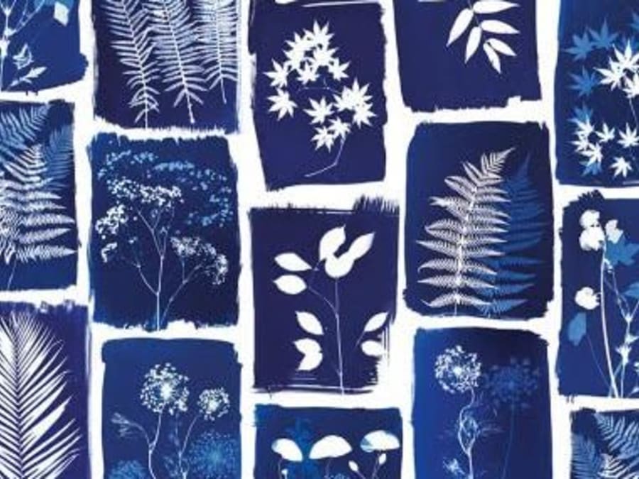 Team Building croisière & atelier cyanotype à Paris 13ème