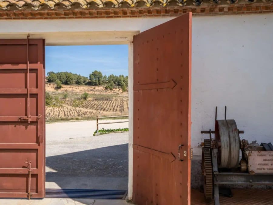 Ontbijt en rondleiding door het wijngoed met wijnproeverij bij Bodega Miquel Jané (Penedès)