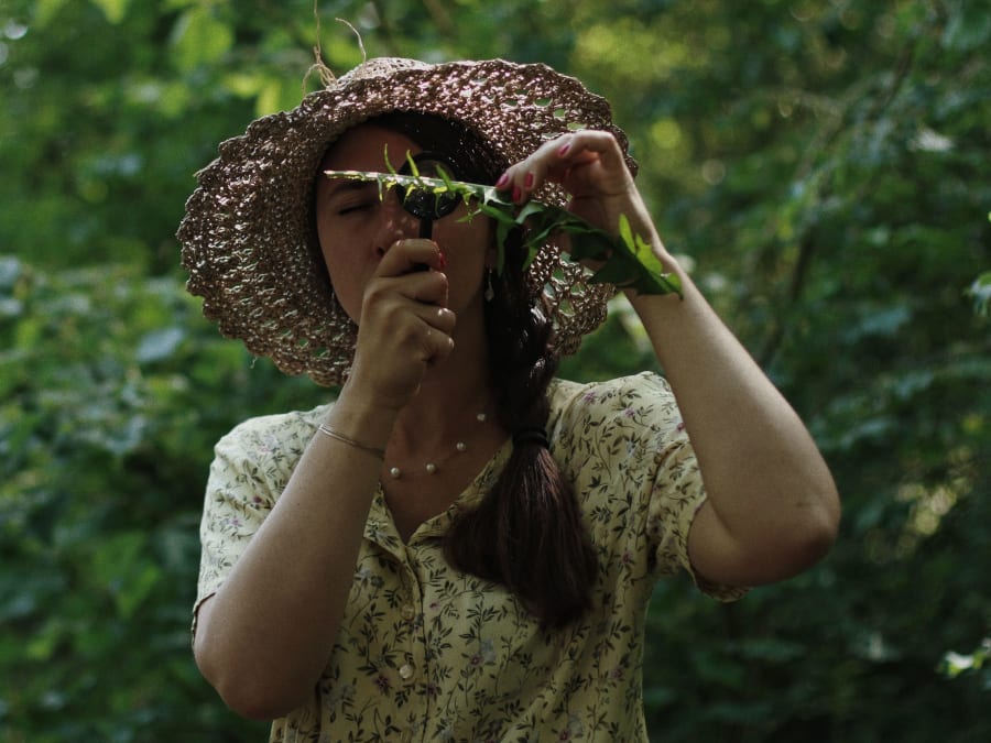 Cueillir les plantes sauvages du Bois de Vincennes (94)