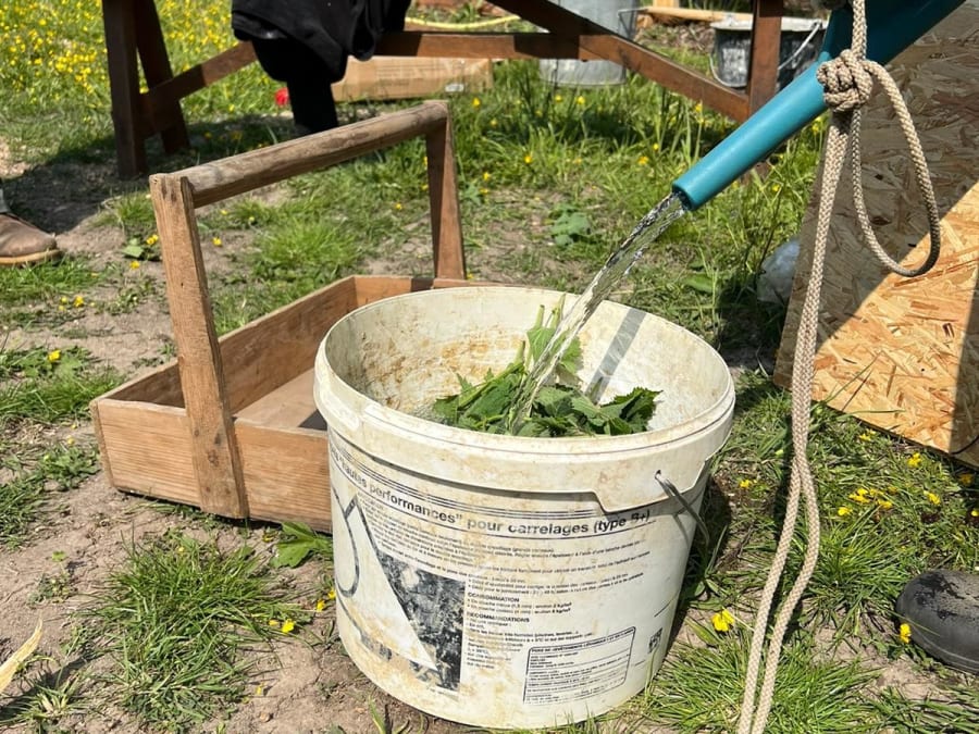 Curso de permacultura en Chevannes (45)