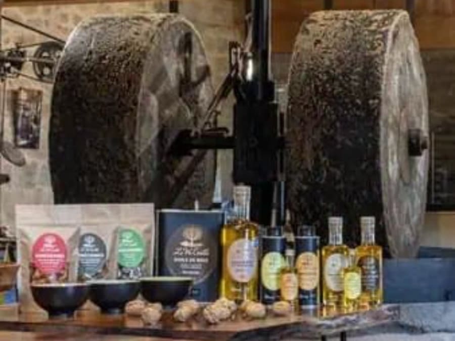 Atelier de pressée d'huile de noix au moulin de Ligneyrac (19)