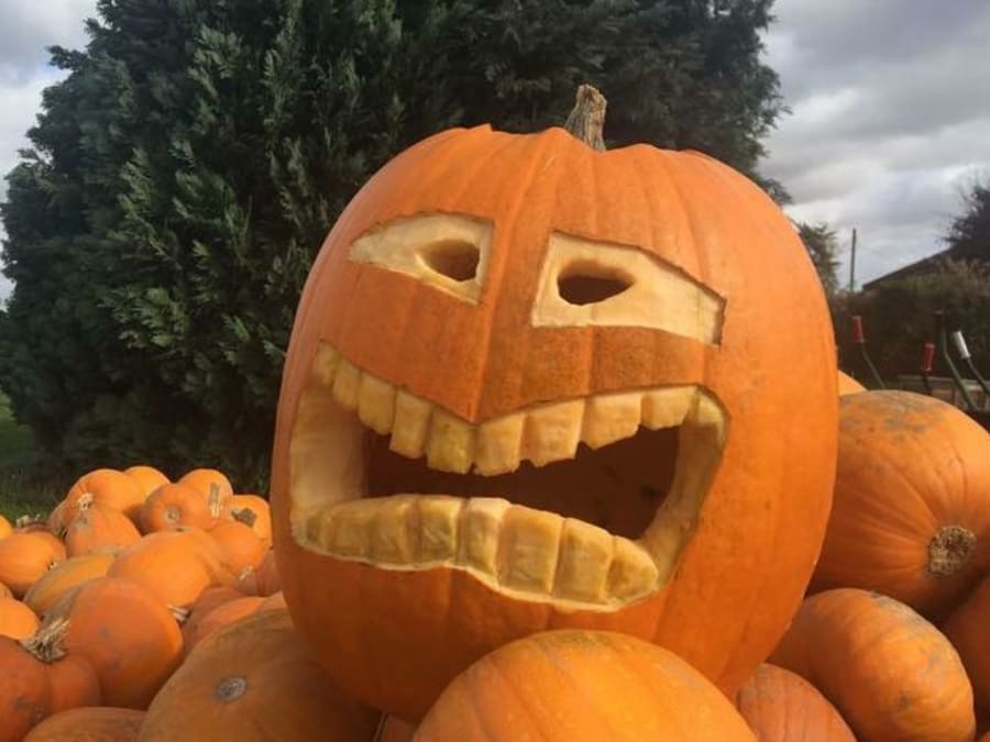 Atelier citrouille d'Halloween à la Cueillette de Seclin (59)