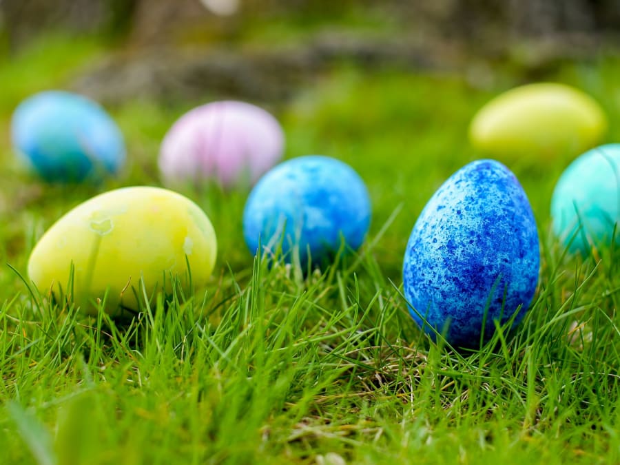 Chasse aux oeufs à la Cueillette de Saint-Gratien (80)