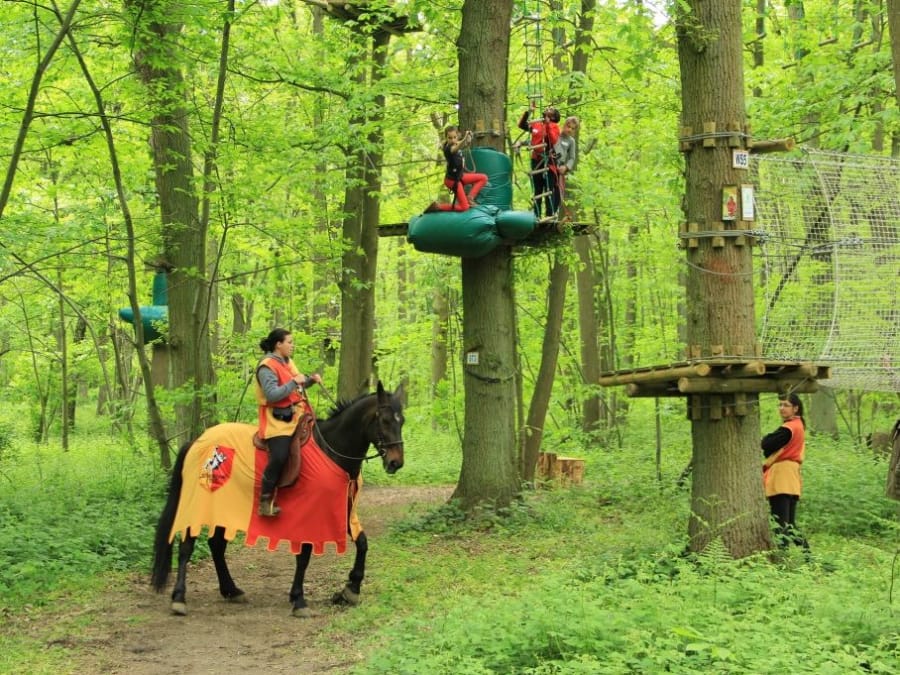 Parc Accrobranche au Sherwood Parc à Viarmes (95)