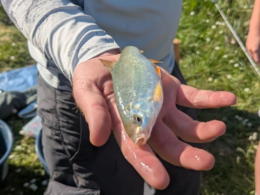 Anniversaire original découverte de la pêche à Toulouse (31)