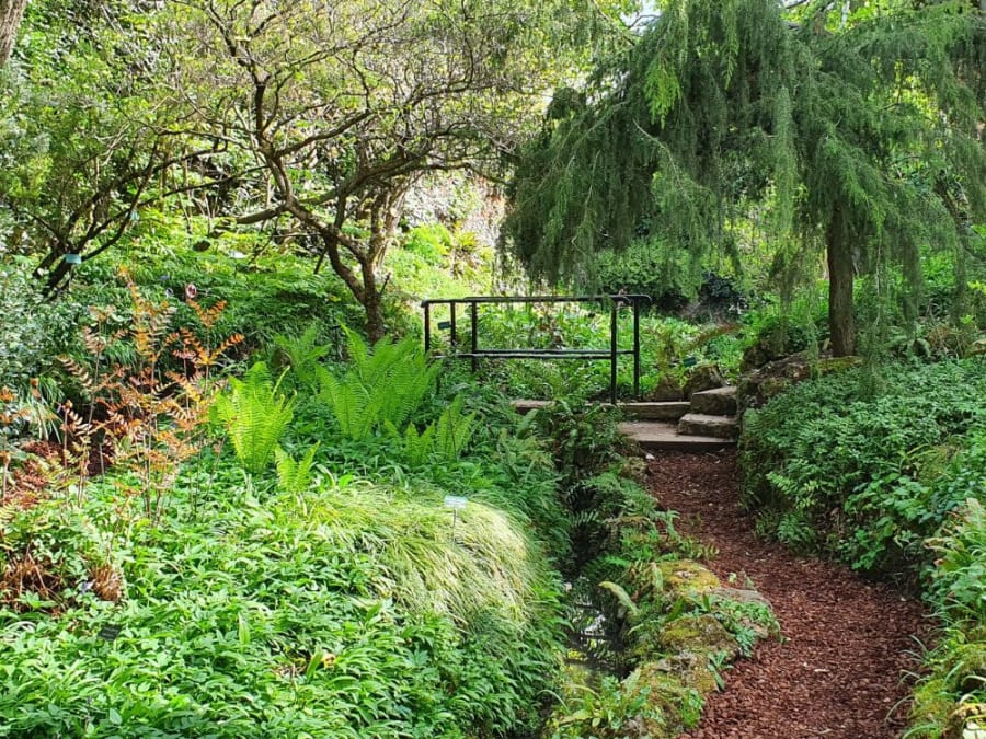 Team Building Enquête culturelle au Jardin des Plantes