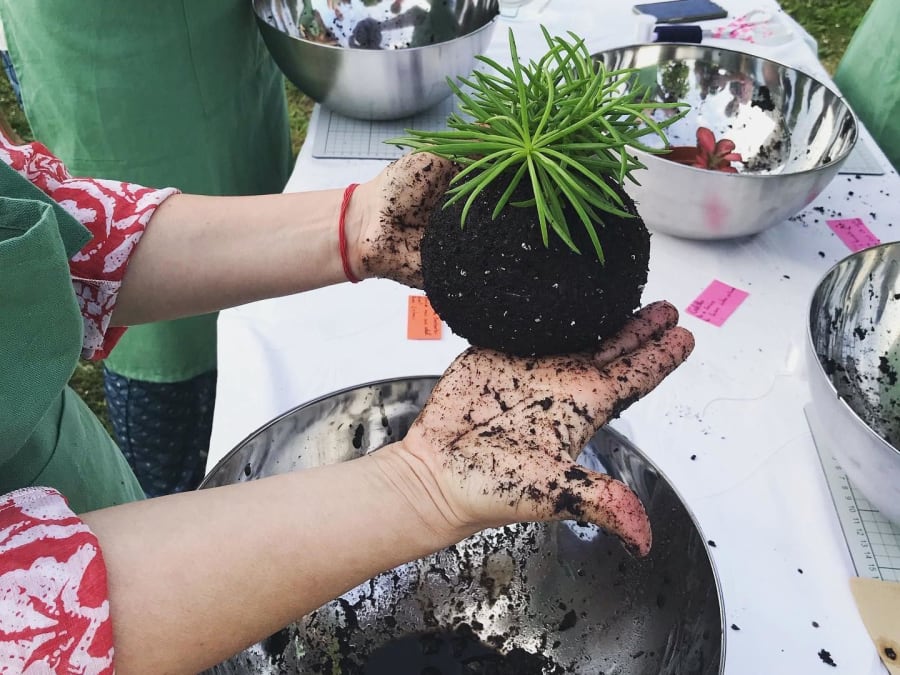 Kokedama-Workshop in Angers (49)