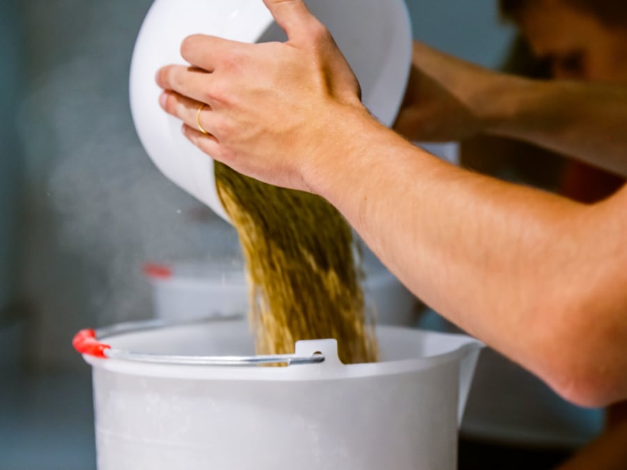 Taller de descubrimiento de la fabricación de cerveza en el dist