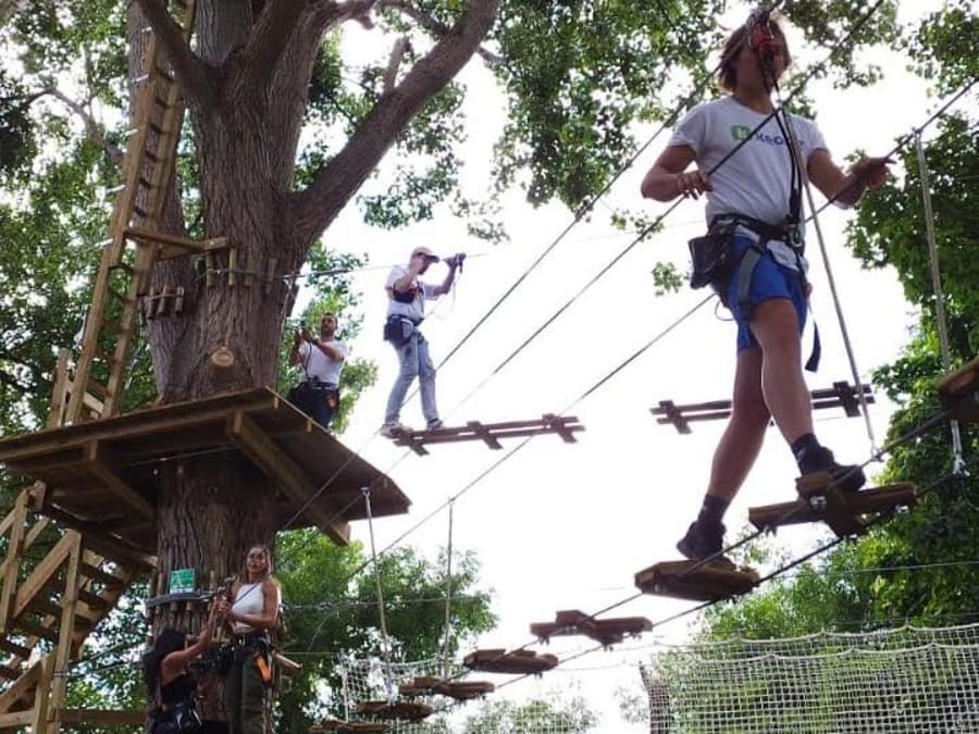 Team Building Olympiade & accrobranche à St-Germain-en-laye