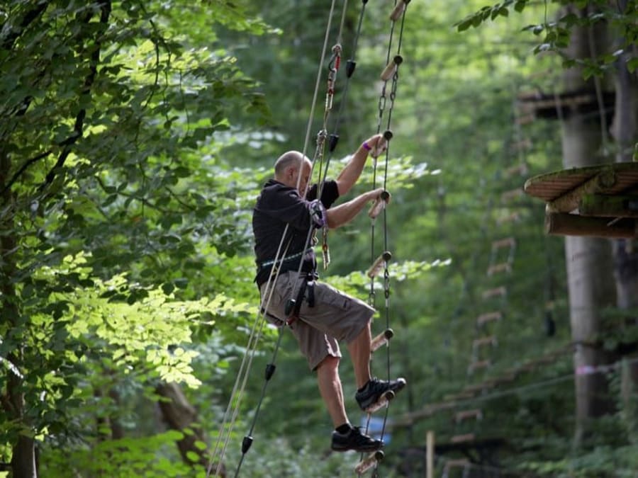 Parque arborícola de Dénestanville (76)
