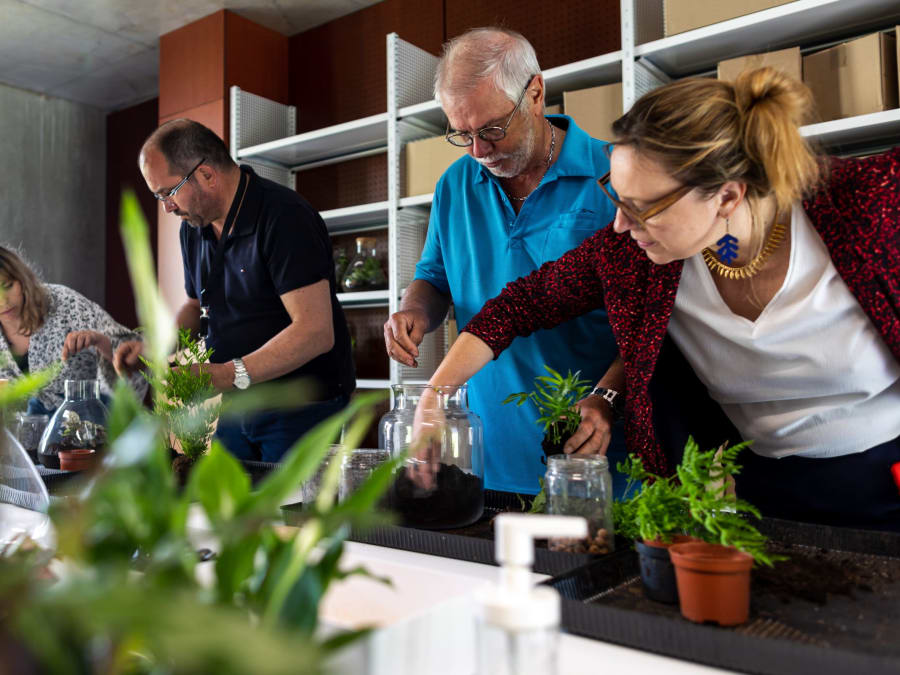 Team Building floral et végétal à Nantes (44)