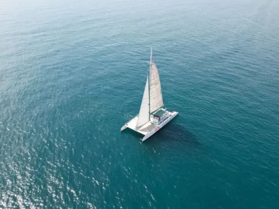 Excursión en catamarán con baño y paella con salida desde Valencia