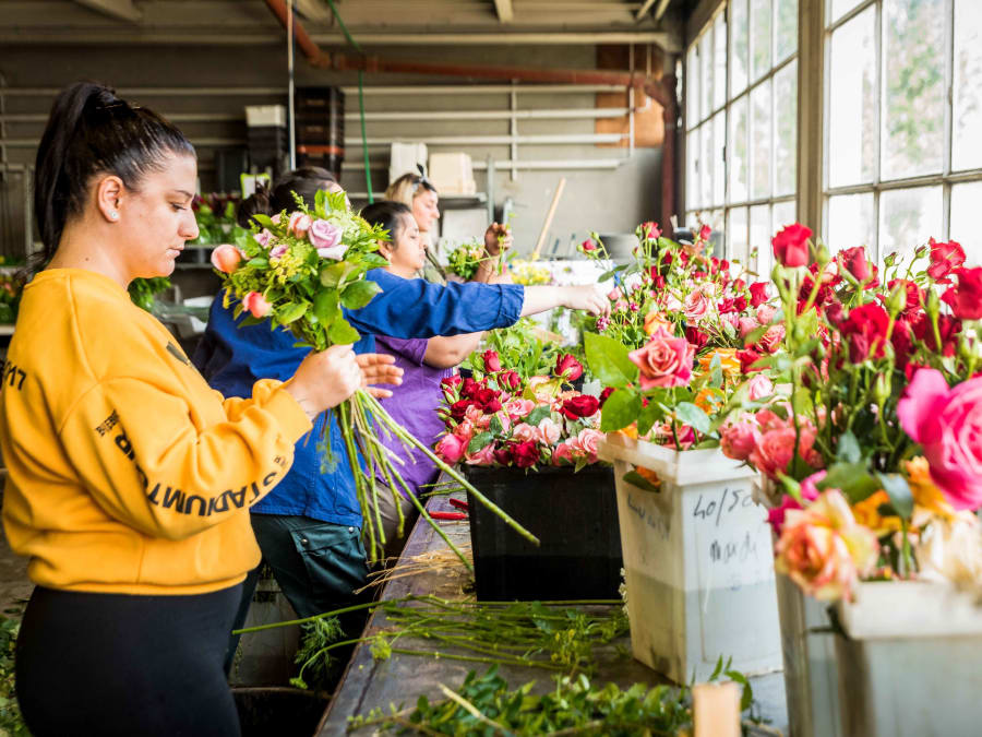 Introduction to horticulture day at Avrainville (91)