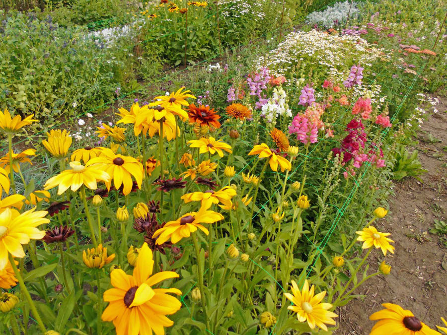 Taller floral en la granja de La Ségalassière (15)