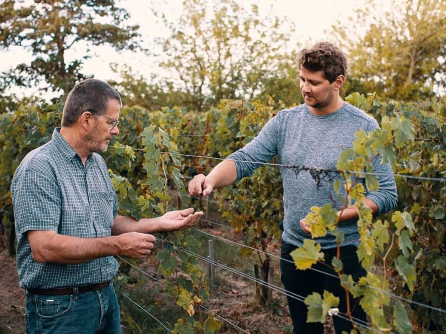 Visite de vignoble et dégustation de Grand Cru à Vignonet (33)