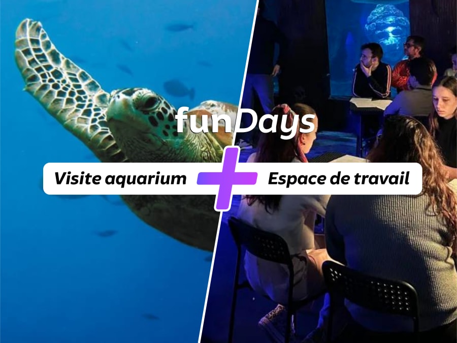 20 000 lieues sous les mers à Val d'Europe (Serris, 77)