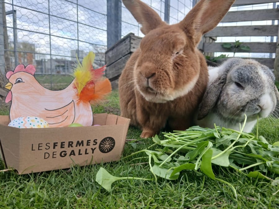 Fête des œufs à la Ferme de Gally de Saint-Denis 