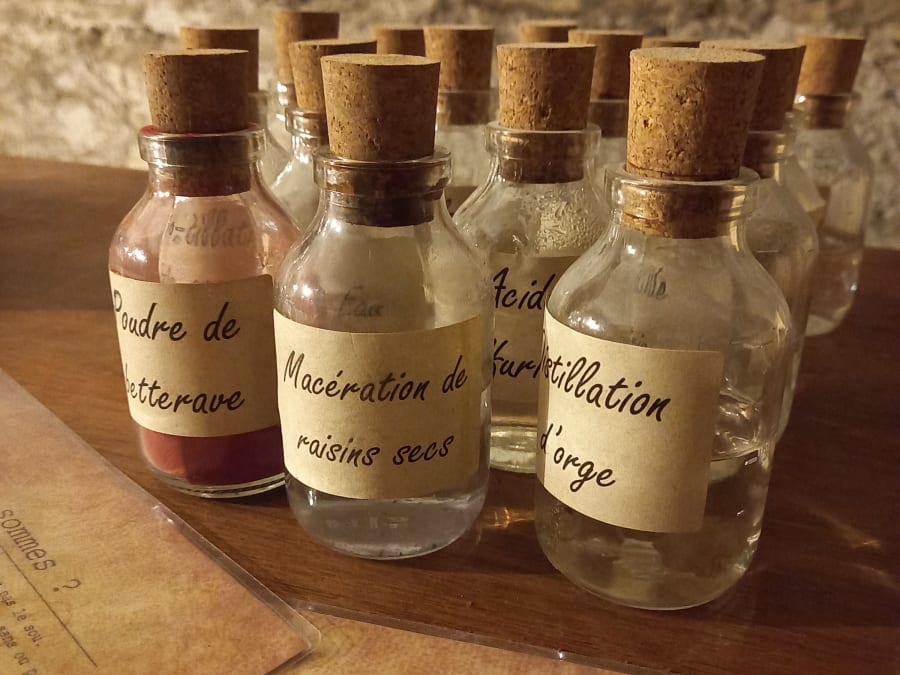 Visite de cave & dégustation de vins bios à Luc-sur-Orbieu (11)