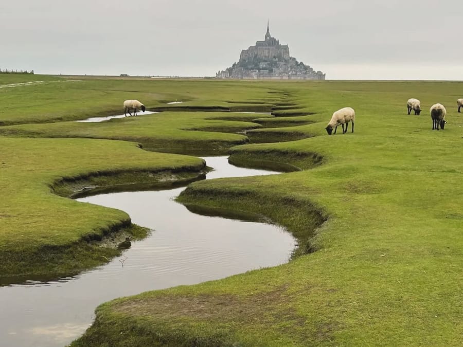 Visite guidée en vélo électrique & dégustation à Beauvoir (50)