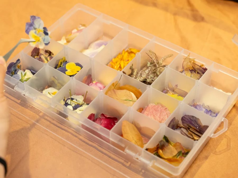 Team Building Atelier herbier à Strasbourg (67)