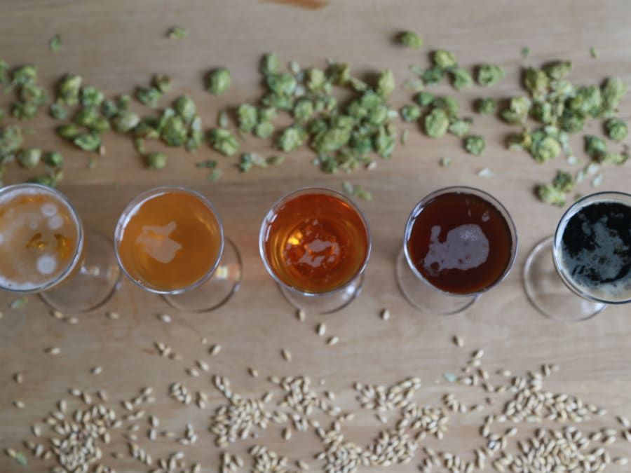 Team Building Dégustation de bière à Paris 11ème