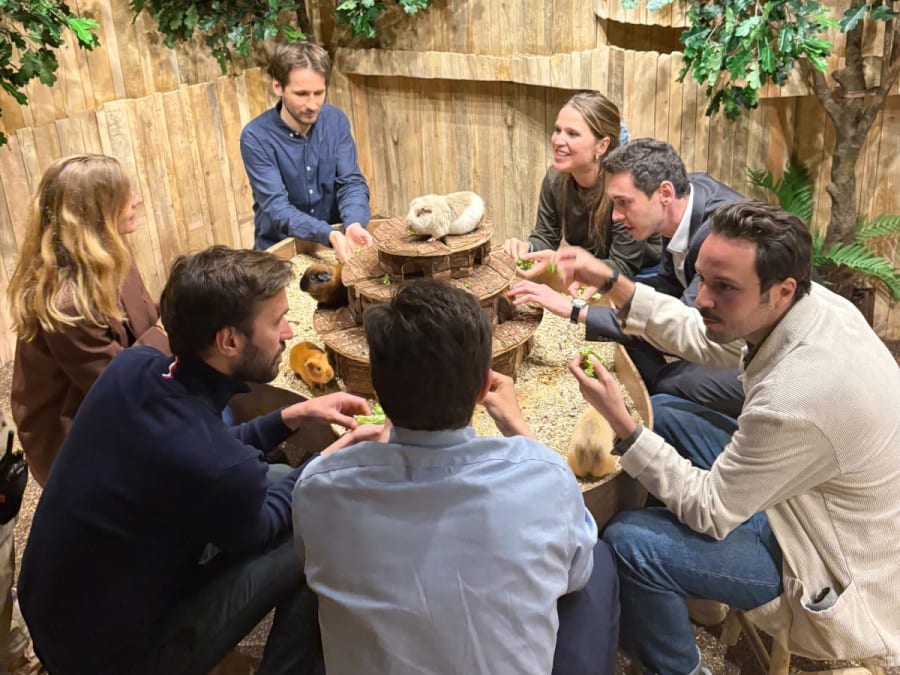 Team Building expérience immersive animalière au Monde de Noé à Lille