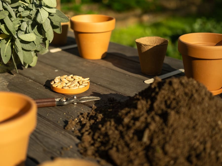 Atelier création d'une bouture et d'un sirop près de Lyon (69)