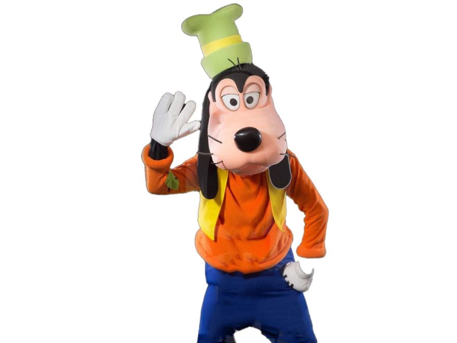 Intervention de Mascotte Mickey et ses amis en Ile-de-France