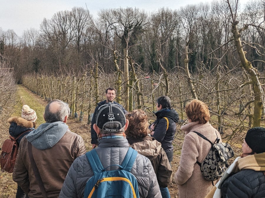 Taller de poda de frutales en Chanteloup en Brie (77)