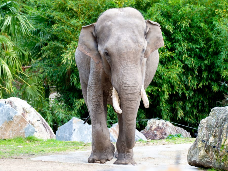 Billet pour Les Terres de Nataé (56)